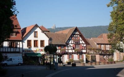 Animation bibliothèque