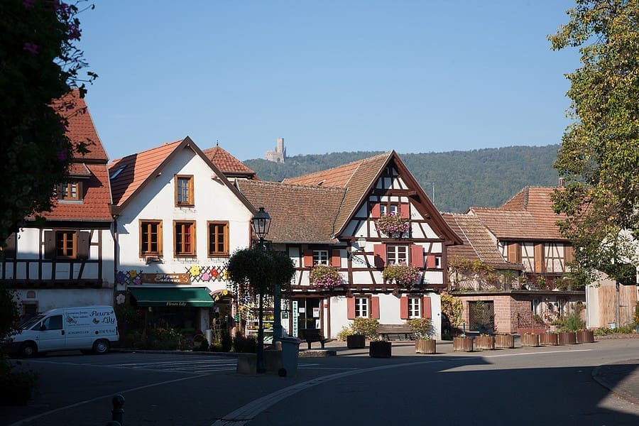 Animation bibliothèque