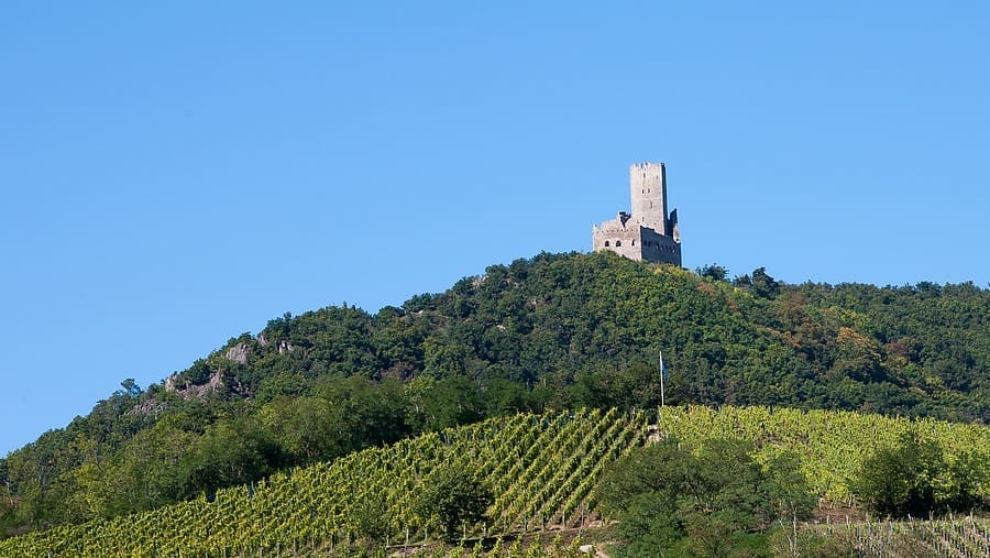 Visite du Château de l&rsquo;Ortenbourg et ses alentours le dimanche 17 juillet