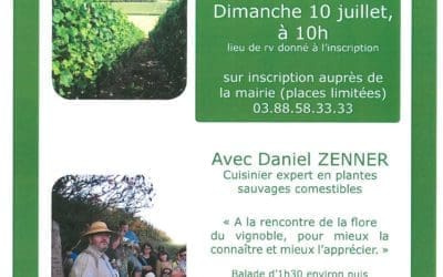 Balade « Herbes folles à croquer »