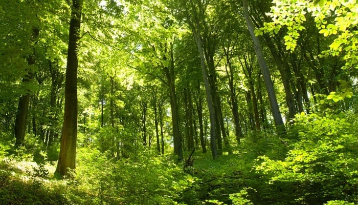 CONFERENCE DU 20 OCTOBRE 2016