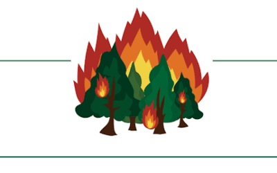 Les règles du feu en forêt