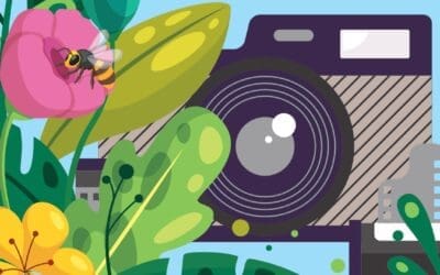 Participation concours photo Nature