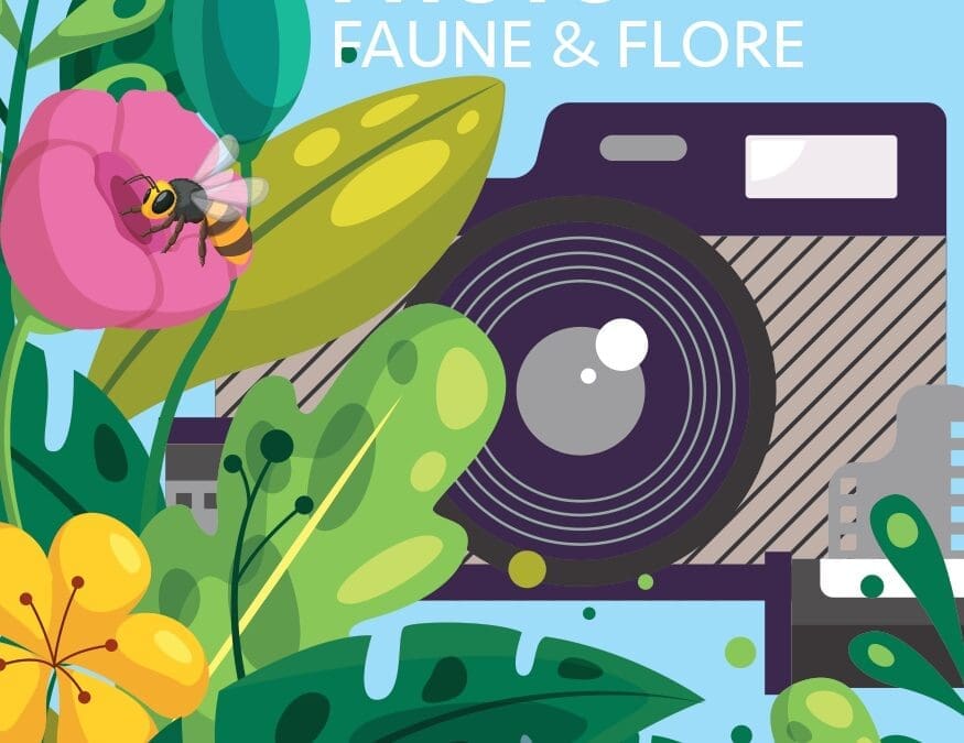 Participation concours photo Nature